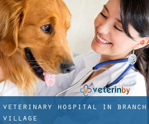 Veterinary Hospital in Branch Village