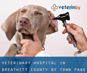 Veterinary Hospital in Breathitt County by town - page 1