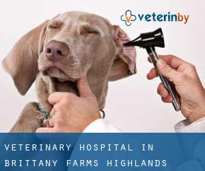 Veterinary Hospital in Brittany Farms-Highlands