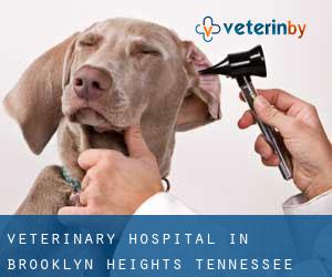 Veterinary Hospital in Brooklyn Heights (Tennessee)