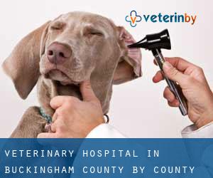 Veterinary Hospital in Buckingham County by county seat - page 1