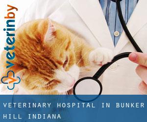 Veterinary Hospital in Bunker Hill (Indiana)