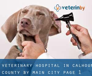 Veterinary Hospital in Calhoun County by main city - page 1