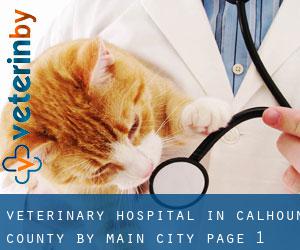 Veterinary Hospital in Calhoun County by main city - page 1