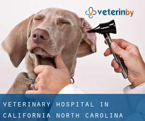 Veterinary Hospital in California (North Carolina)