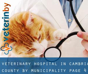 Veterinary Hospital in Cambria County by municipality - page 4