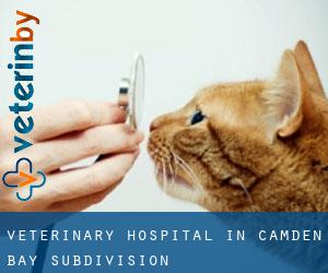 Veterinary Hospital in Camden Bay Subdivision