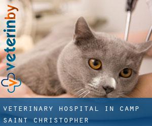 Veterinary Hospital in Camp Saint Christopher