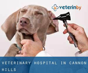 Veterinary Hospital in Cannon Hills