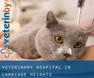 Veterinary Hospital in Carriage Heights