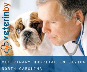 Veterinary Hospital in Cayton (North Carolina)