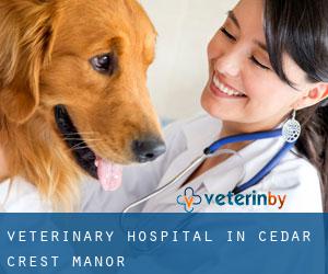 Veterinary Hospital in Cedar Crest Manor