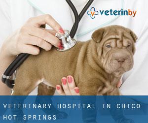 Veterinary Hospital in Chico Hot Springs