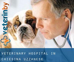 Veterinary Hospital in Chiesina Uzzanese