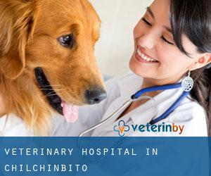 Veterinary Hospital in Chilchinbito