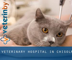 Veterinary Hospital in Chisolm