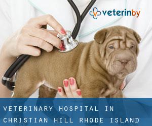 Veterinary Hospital in Christian Hill (Rhode Island)
