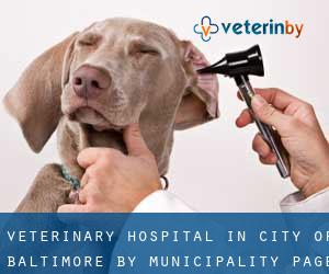 Veterinary Hospital in City of Baltimore by municipality - page 3