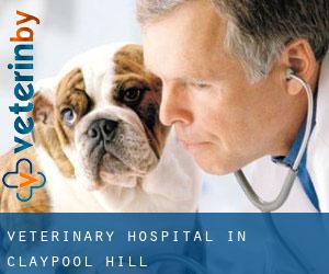 Veterinary Hospital in Claypool Hill