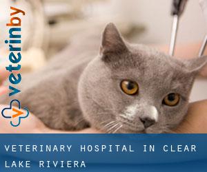Veterinary Hospital in Clear Lake Riviera