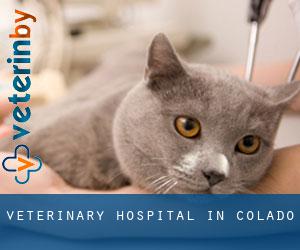 Veterinary Hospital in Colado