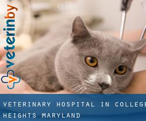 Veterinary Hospital in College Heights (Maryland)
