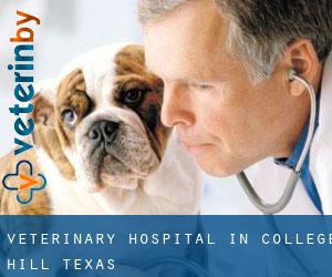 Veterinary Hospital in College Hill (Texas)