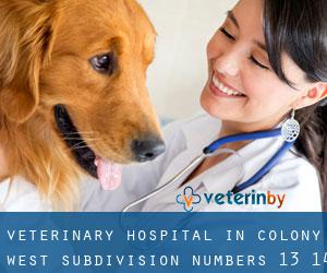 Veterinary Hospital in Colony West Subdivision - Numbers 13, 14 and 15