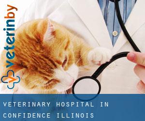 Veterinary Hospital in Confidence (Illinois)