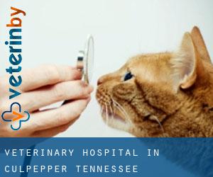 Veterinary Hospital in Culpepper (Tennessee)