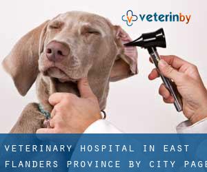 Veterinary Hospital in East Flanders Province by city - page 1