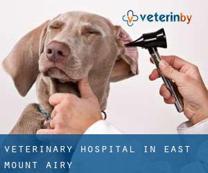 Veterinary Hospital in East Mount Airy