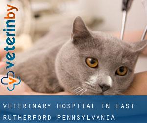 Veterinary Hospital in East Rutherford (Pennsylvania)