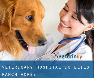 Veterinary Hospital in Elils Ranch Acres
