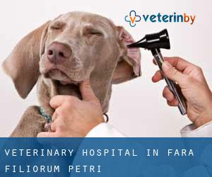 Veterinary Hospital in Fara Filiorum Petri