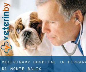 Veterinary Hospital in Ferrara di Monte Baldo