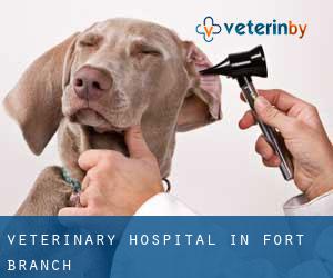 Veterinary Hospital in Fort Branch