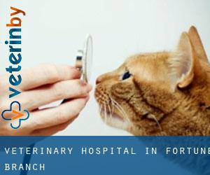 Veterinary Hospital in Fortune Branch