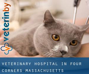 Veterinary Hospital in Four Corners (Massachusetts)