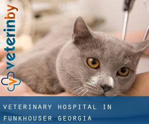 Veterinary Hospital in Funkhouser (Georgia)