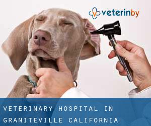 Veterinary Hospital in Graniteville (California)