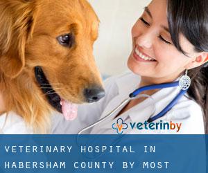 Veterinary Hospital in Habersham County by most populated area - page 1