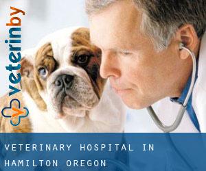 Veterinary Hospital in Hamilton (Oregon)