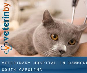 Veterinary Hospital in Hammond (South Carolina)