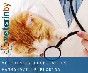 Veterinary Hospital in Hammondville (Florida)
