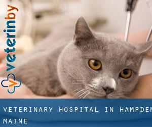 Veterinary Hospital in Hampden (Maine)