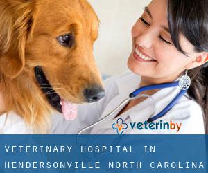 Veterinary Hospital in Hendersonville (North Carolina)