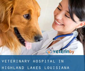 Veterinary Hospital in Highland Lakes (Louisiana)