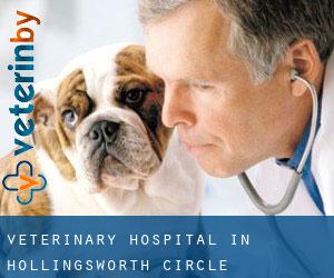 Veterinary Hospital in Hollingsworth Circle