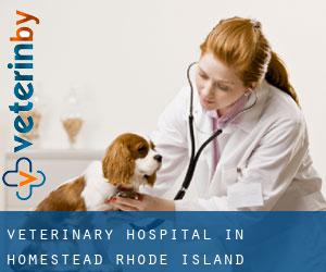 Veterinary Hospital in Homestead (Rhode Island)